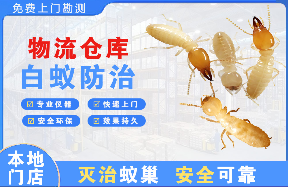 绵阳物流仓库白蚁防治