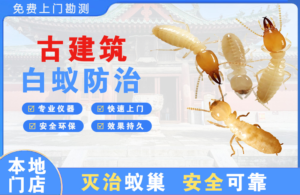 绵阳古建筑白蚁防治