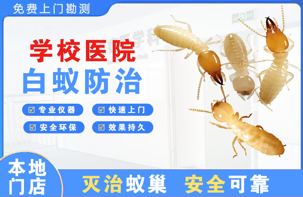 绵阳学校医院白蚁防治